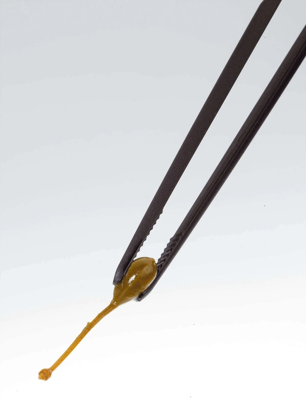 GEFU - uniwersalne szczypce PICCOLINO