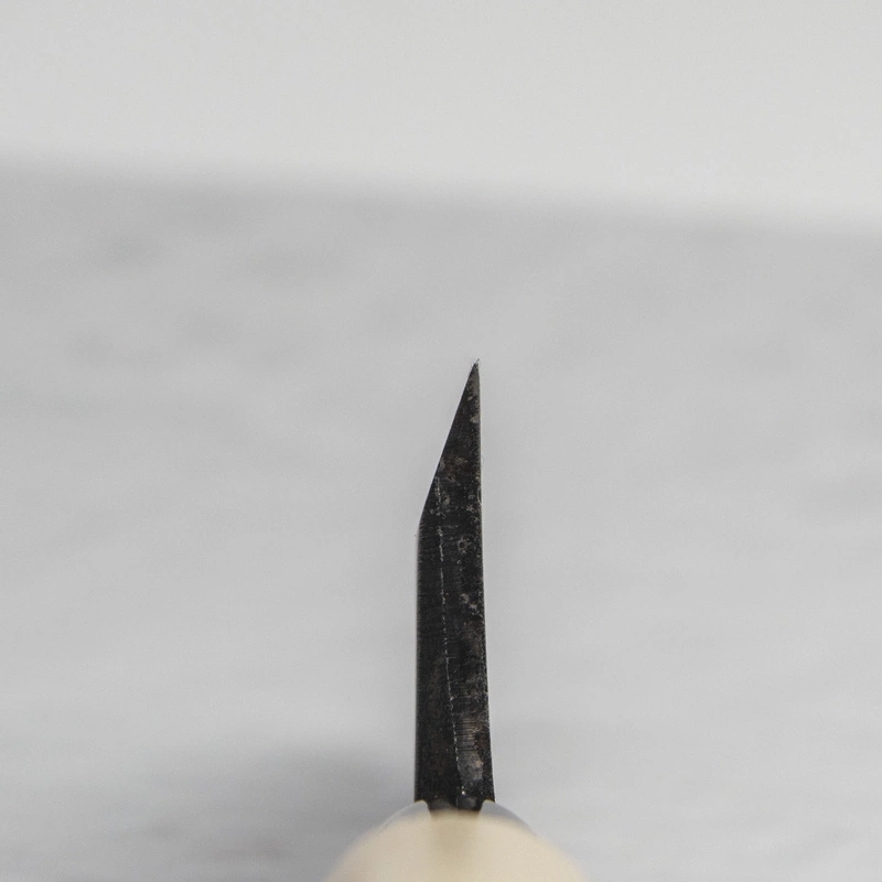 Sakai Takayuki - Kasumi Shirogami#3 Nóż Deba 12 cm