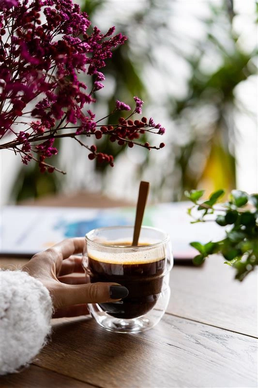 Vialli Design - Komplet 2 szklanek z podwójną ścianką 250ml Sferico