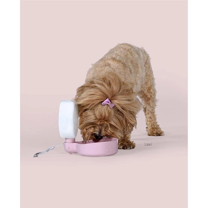 United Pets - Butelka na wodę dla psa PINGUI, różowa
