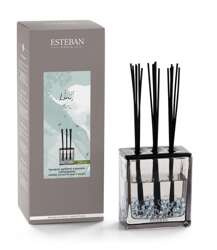 Esteban - Dyfuzor zapachowy Triptyque 250ml Pur Lin NEW