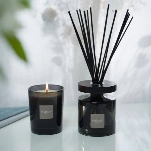 Esteban - Dyfuzor zapachowy 200ml Pur Lin