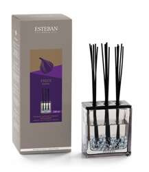 Esteban - Dyfuzor zapachowy Triptyque 250ml FigueNoireNEW