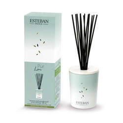 Esteban - Dyfuzor zapachowy dekoracyjny 100ml Pur Lin