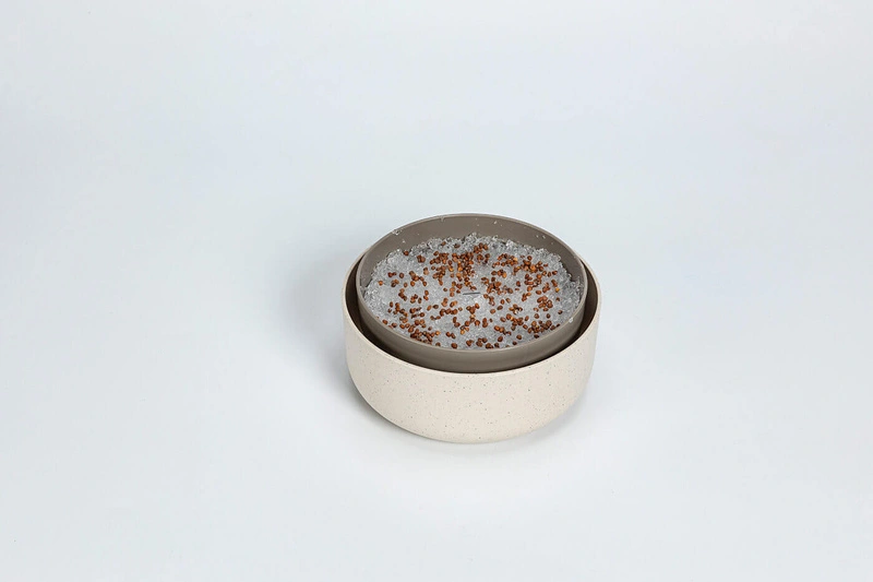 Urbalive - MICROGREENS Kiełkownica 16 cm, beżowy