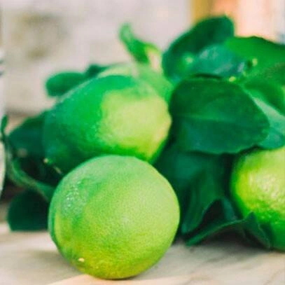 Cereria Molla - Zapas do dyfuzora 200ml Bergamotto diCalabria