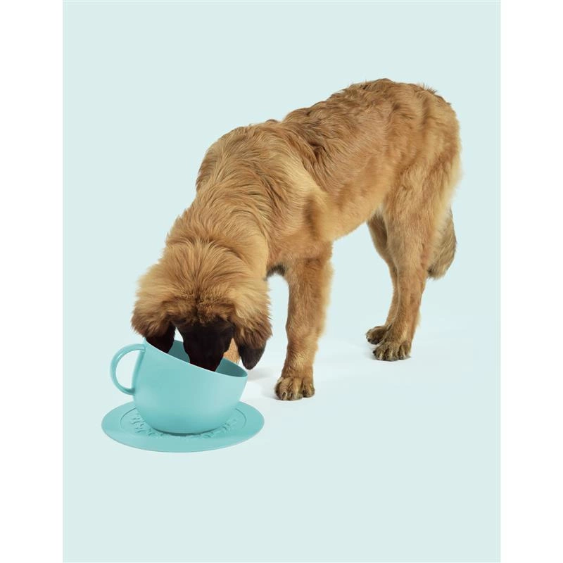 United Pets - Miska dla psa CUP, 2500 ml, niebieska