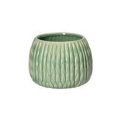 RITUALI DOMESTICI - AGAVINA Donica S