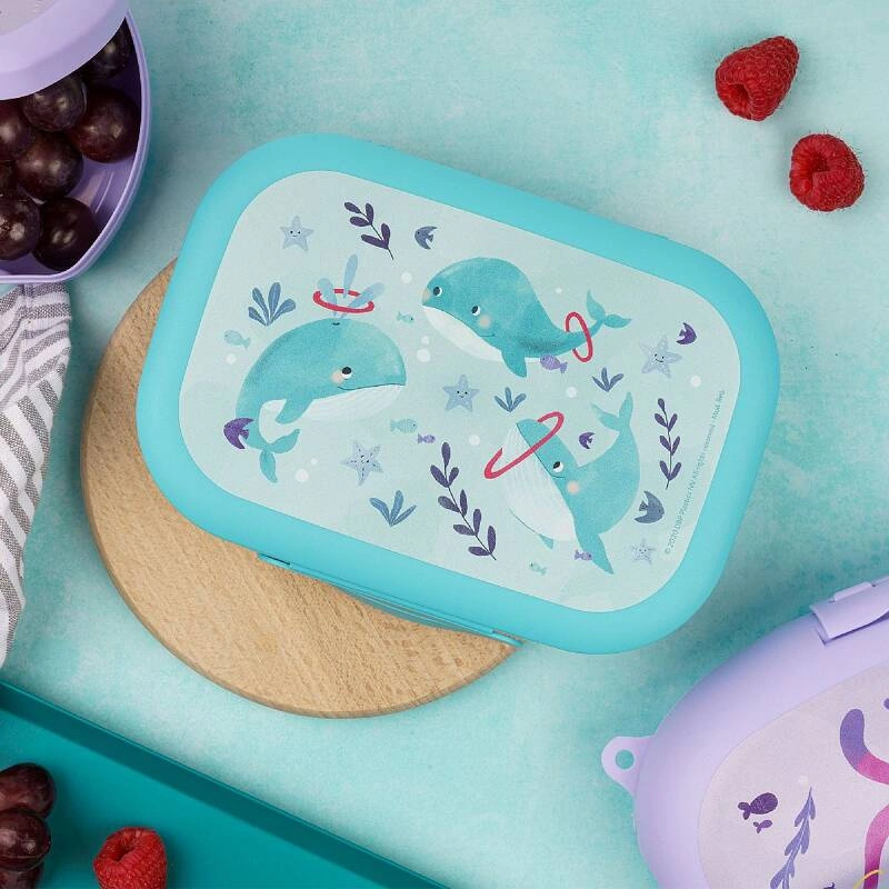 Amuse - lunchbox do szkoły CLIP Wieloryb