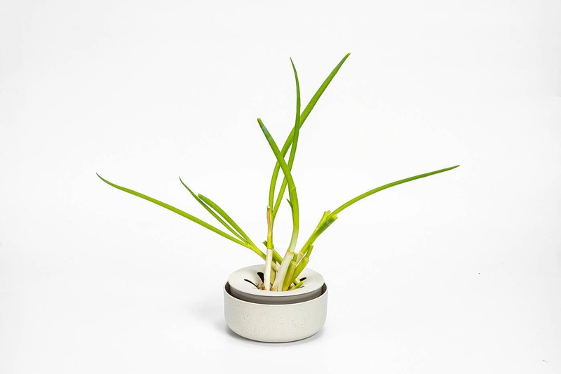 Urbalive - Miseczka na awokado i cebulę 16 cm, kremowy