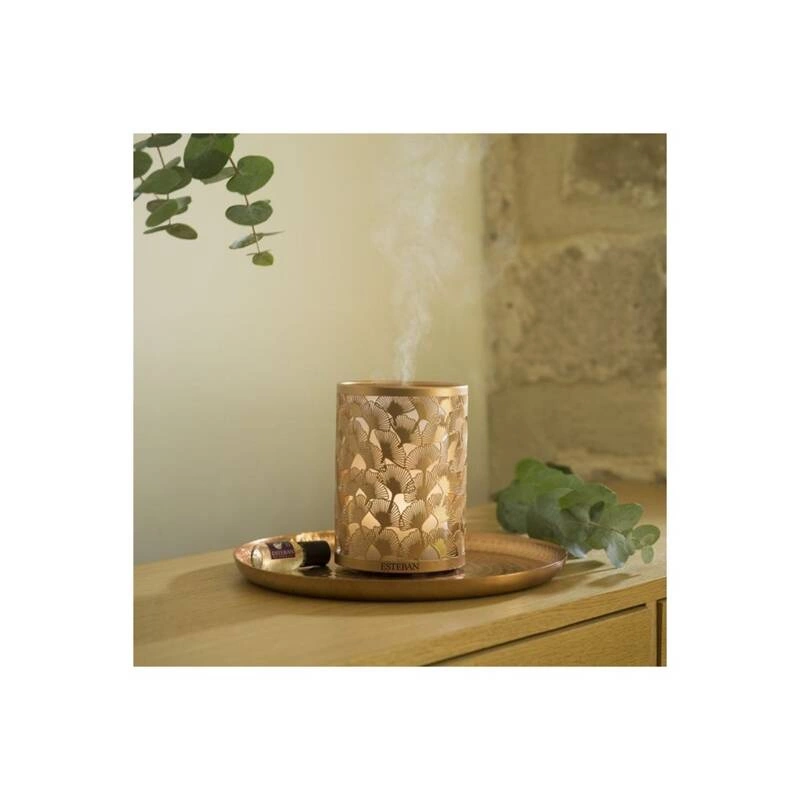 Esteban - Dyfuzor mgiełki zapachowej Cuivre and Lumiere