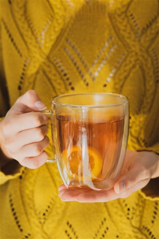 Vialli Design - Kubek z podwójną ścianką Amo 480 ml