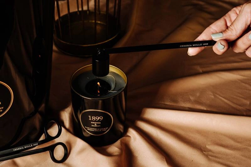 Cereria Molla - Dyfuzor Premium Reed 500ml. Menthe and Basilic