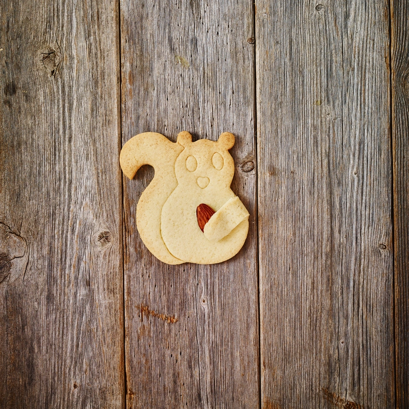 Birkmann - Foremka do wykrawania ciastek WIEWIÓRKA PRZYTULANKA