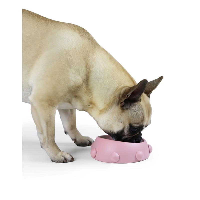 United Pets - Miska dla psa/kota Boss Nano 160 ml, kolor różowy