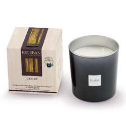 Esteban - Świeca zapachowa 450g Cedre