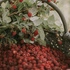 Cereria Molla - Zapas do dyfuzora 200ml Raspberry&BlackVanill