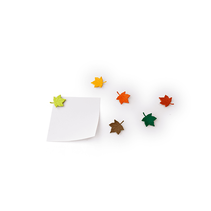 Qualy - Magnesy Leaf a Message kolorowe