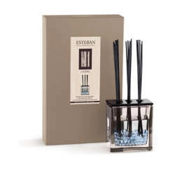 Esteban - Dyfuzor zapachowy Triptyque 250ml Cedre