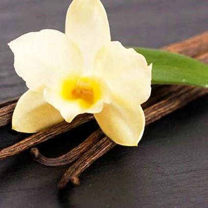 Cereria Molla - Dyfuzor Premium 100ml Ginger & Orange Blossom