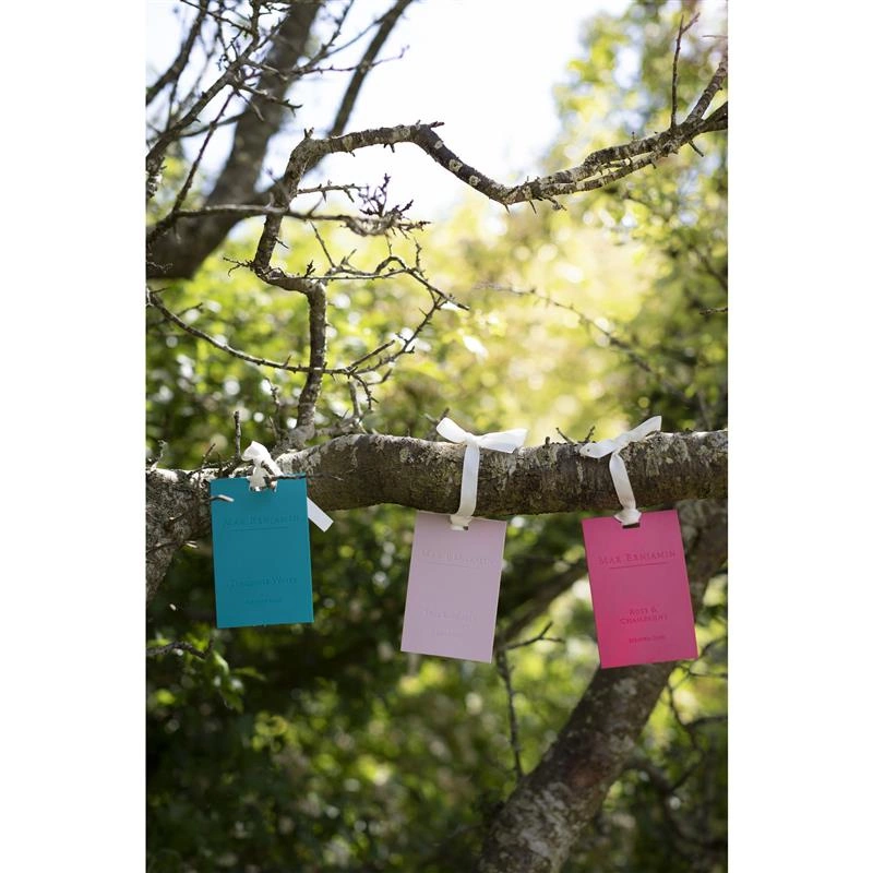 Max Benjamin - Zestaw 5 kart zapachowych French Linen Water Classic