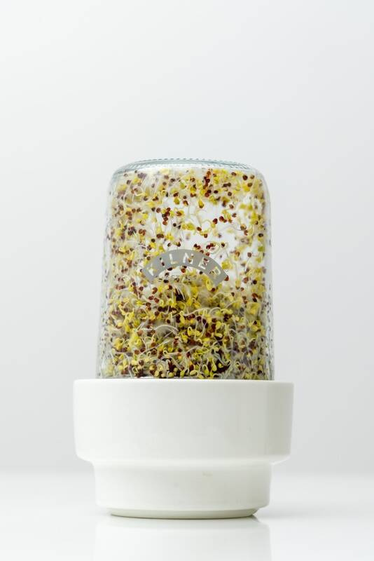 Kilner - Kiełkownica