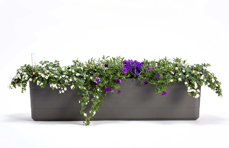 Urbalive - BERBERIS Donica samonawadniająca prostokątna 80 x 20 cm, szaro-brązowy