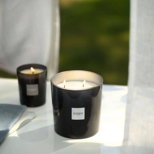 Esteban - Świeca zapachowa 450g Pur Lin