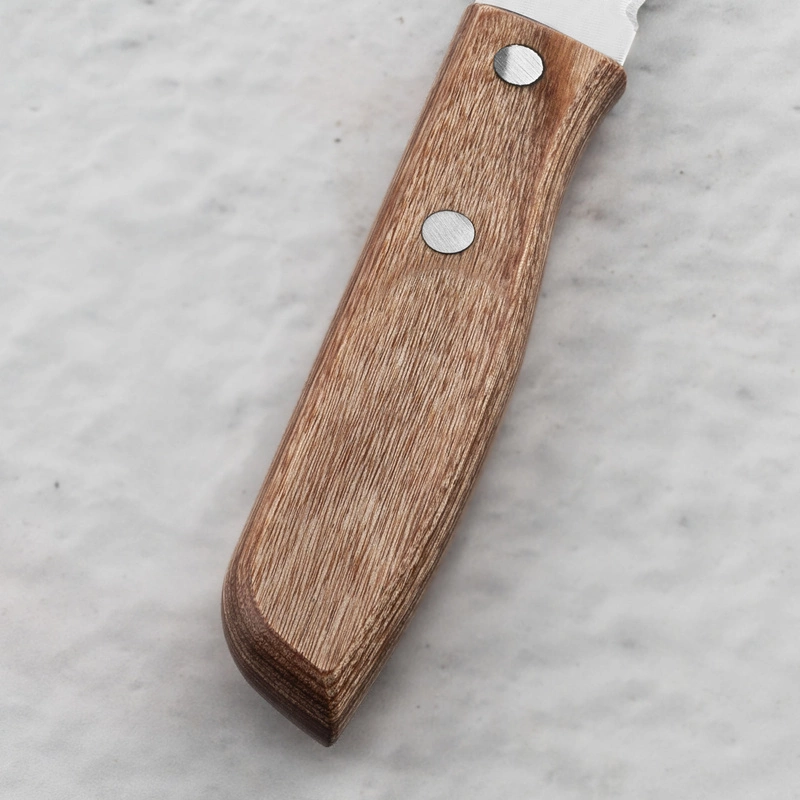 Kanetsune Seki - 555 DSR-1K6 Nóż do pieczywa 25 cm