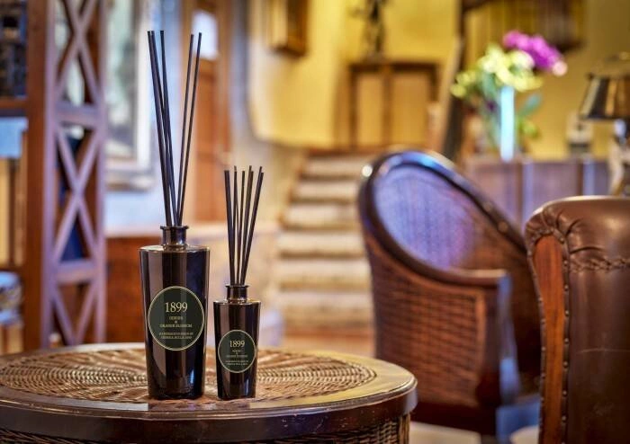 Cereria Molla - Dyfuzor Premium 100ml Ginger & Orange Blossom