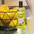 Esteban - Spray zapachowy 75ml Terre dAgrumes