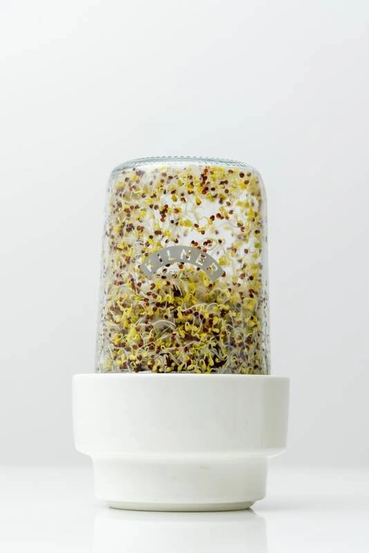 Kilner - Kiełkownica