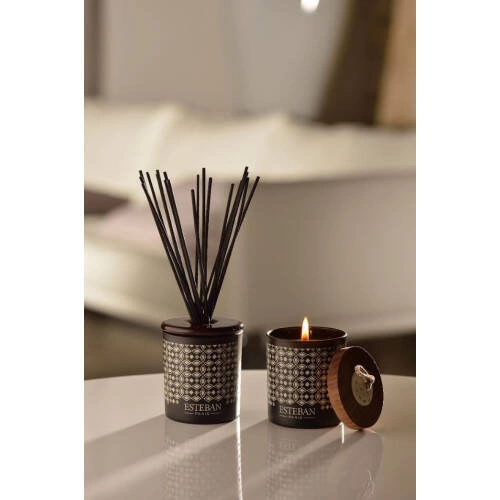 Esteban - Dyfuzor zapach. dekor. 100ml Teck and Tonka