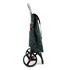 Rolser - Wózek na zakupy I-Max Wild 2LRSG Verde