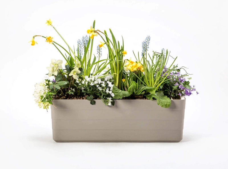 Urbalive - BERBERIS Donica samonawadniająca prostokątna 60 x 20 cm, jasnoszary
