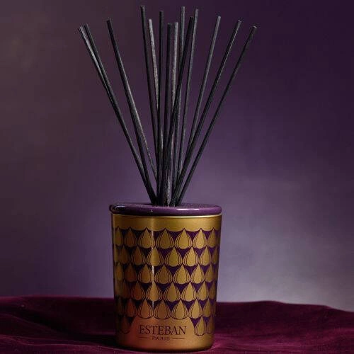 Esteban - Dyfuzor zapachowy dekoracyjny 100ml Figue Noire