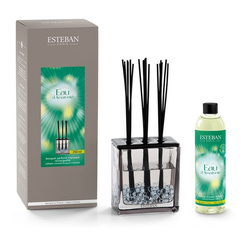 Esteban - Dyfuzor zapachowy Triptyque Eau d'Amazonie