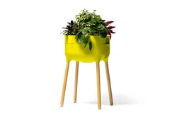 Urbalive - Kwietnik domowy 77 x 50 x 38 cm, zielony
