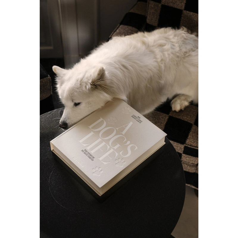 Printworks - Album dla psa - A Dog's Life XL