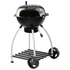 Roesle - Grill węglowy Sport F50