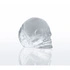 Cilio - foremka do lodowych czaszek, 11,5 x 8,5 x 4,5 cm Cranio