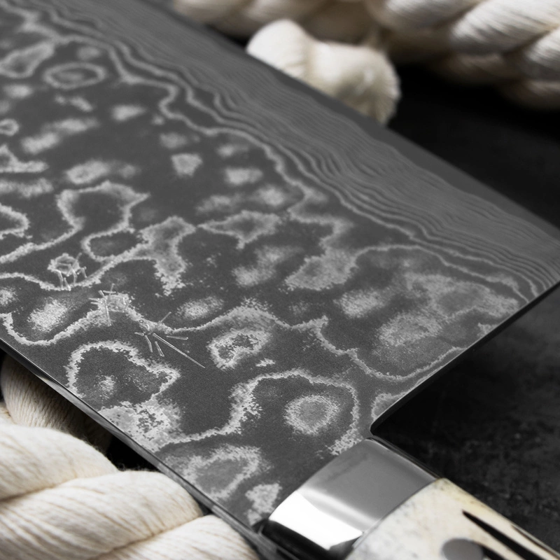 Takeshi Saji - WBB Chiński nóż do siekania 22 x 11 cm R-2