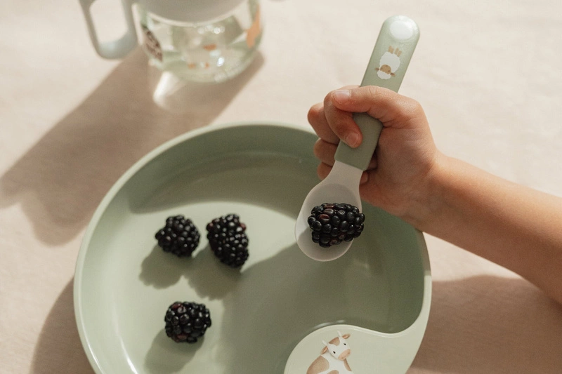 Mepal - 2 Łyżki dziecięce Mio Fairy Garden