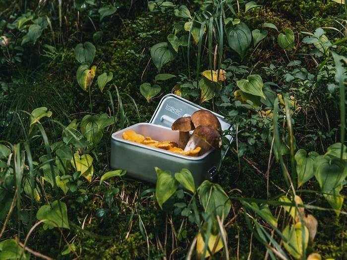 SIGG - Pudełko na żywność Plus S lunchbox