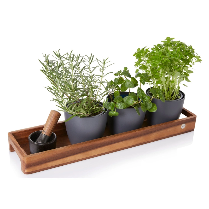 AdHoc - Taca do serwowania Slim S