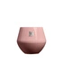 Stanley - Kielich termiczny i szklanka do koktajli 2 w 1 Lifted Spirits 400 ml Peach Rose Gloss