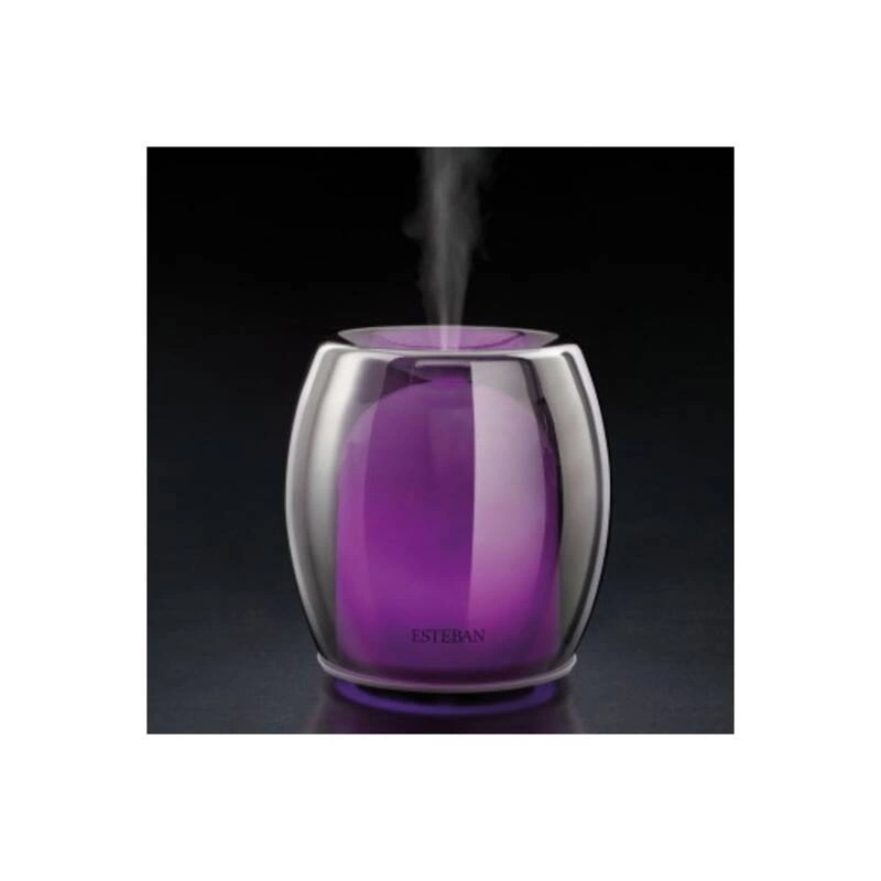 Esteban - Dyfuzor mgiełki zapachowej Silver