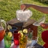 Guzzini - WIADERKO DO LODU STELLA HAPPY HOUR