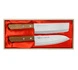 Satake - Tomoko Zestaw Santoku + Nakiri