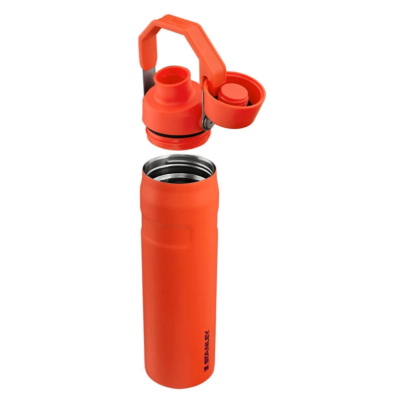 Stanley - Butelka na wodę Aerolight™ IceFlow™ 0,6 l Tigerlily